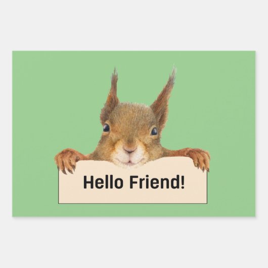 Hello Friend Funny Eichirrel Geschenkpapier Set (Vorderseite 3)