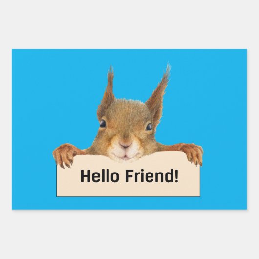 Hello Friend Funny Eichirrel Geschenkpapier Set (Vorderseite 2)