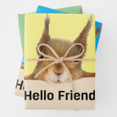 Hello Friend Funny Eichirrel Geschenkpapier Set (Beispiel)