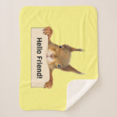 Hello Friend Funny Eichirrel Sherpadecke (Vorderseite)