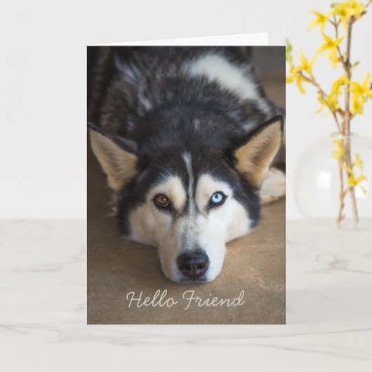 Hello Friend Husky Dog Personalisiert Gruß Karte (Gelbe Blume)