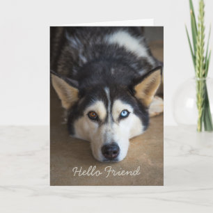 Hello Friend Husky Dog Personalisiert Gruß Karte