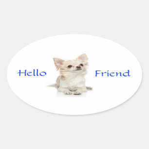 Hello Friend Long Haired Chihuahua Sticker