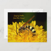 Hello From Bee On Yellow Dandelion Blume Postkarte (Vorne/Hinten)
