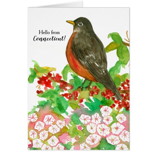 Hello from Connecticut American Robin State Bird (Vorne)