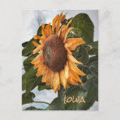 Hello From Iowa Postcard Postkarte (Vorderseite)