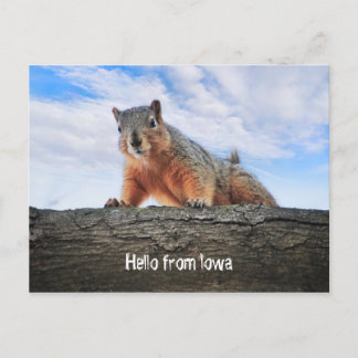 Hello From Iowa Postcard Postkarte