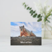 Hello From Iowa Postcard Postkarte (Stehend Vorderseite)