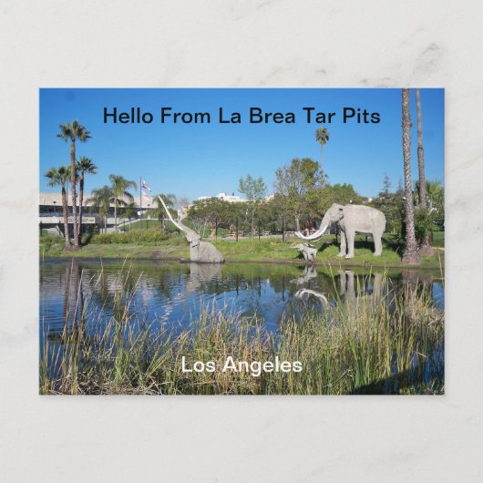 Hello From La Brea Tar Pits Postcard Postkarte (Vorderseite)