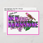 Hello from New Hampshire Purple Finch & Lilacs Postkarte (Vorne/Hinten)