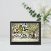 Hello From South Carolina Vintage Travel Postcard Postkarte (Stehend Vorderseite)