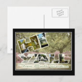 Hello From South Carolina Vintage Travel Postcard Postkarte (Vorne/Hinten)