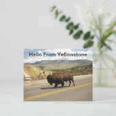 Hello From Yellowstone Postcard Postkarte (Stehend Vorderseite)