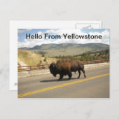 Hello From Yellowstone Postcard Postkarte (Vorne/Hinten)