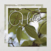 Hello Geburt Grün Mitteilungskarte (Vorne/Hinten)