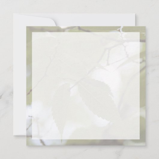 Hello Geburt Grün Mitteilungskarte (Rückseite)