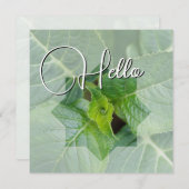 Hello Geburt Grün Mitteilungskarte (Vorne/Hinten)