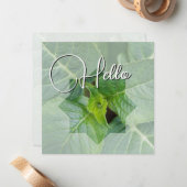 Hello Geburt Grün Mitteilungskarte (Vorderseite/Rückseite Beispiel)