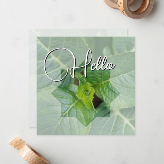 Hello Geburt Grün Mitteilungskarte (Vorderseite/Rückseite Beispiel)