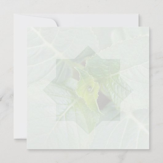 Hello Geburt Grün Mitteilungskarte (Rückseite)