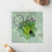 Hello Geburt Grün Mitteilungskarte (Vorderseite/Rückseite Beispiel)