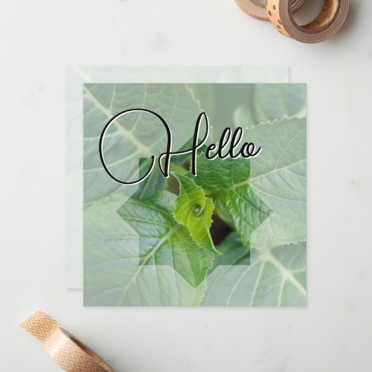 Hello Geburt Grün Mitteilungskarte (Vorderseite/Rückseite Beispiel)