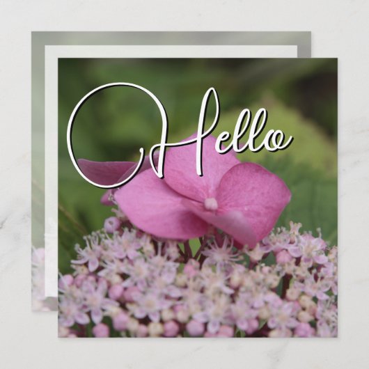 Hello Geburt Mitteilungskarte (Vorne/Hinten)