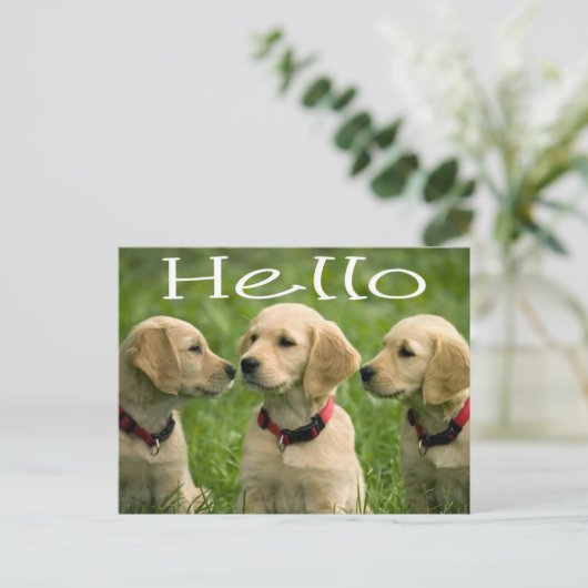 Hello Golden Retriever Puppy Dockcard Postkarte (Stehend Vorderseite)