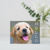 Hello Golden Retriever Puppy Dodge Blank Postcard Postkarte (Stehend Vorderseite)