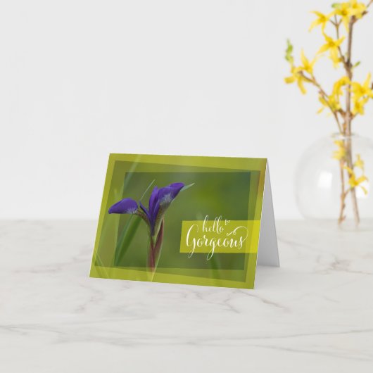 "Hello Gorgeous" Sibirische Iris Grußkarte Karte (Gelbe Blume)