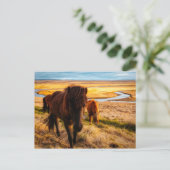 Hello Horse Postcard Postkarte (Stehend Vorderseite)