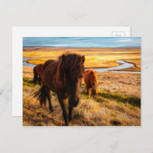 Hello Horse Postcard Postkarte (Vorne/Hinten)