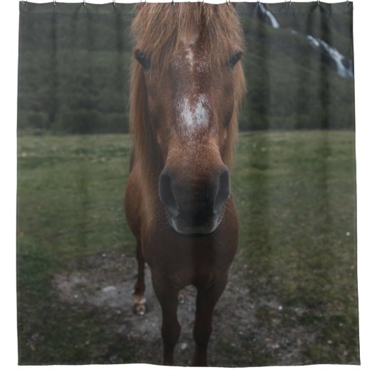 HELLO ICH BIN EIN HORSE DUSCHVORHANG (Vorderseite)