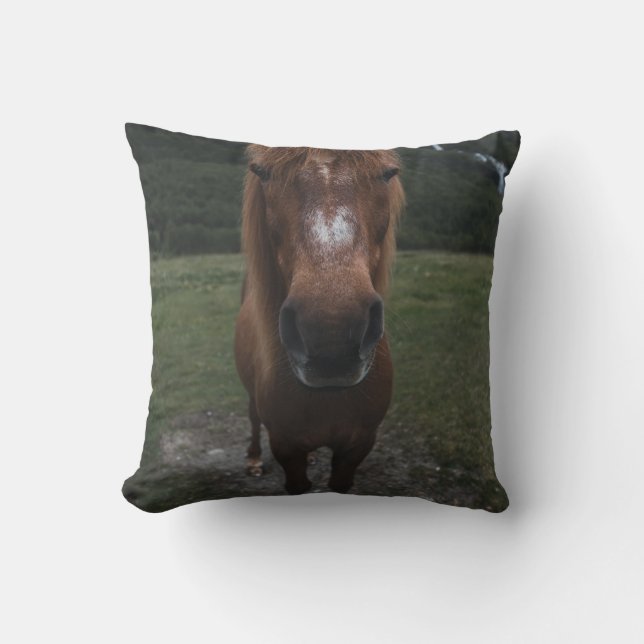 HELLO ICH BIN EIN HORSE KISSEN (Vorderseite)