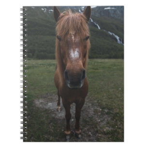HELLO ICH BIN EIN HORSE NOTIZBLOCK