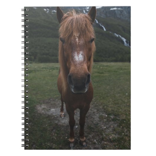 HELLO ICH BIN EIN HORSE NOTIZBLOCK (Vorderseite)