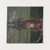 HELLO ICH BIN EIN HORSE WANDTEPPICH (Vorderseite (Horizontal))