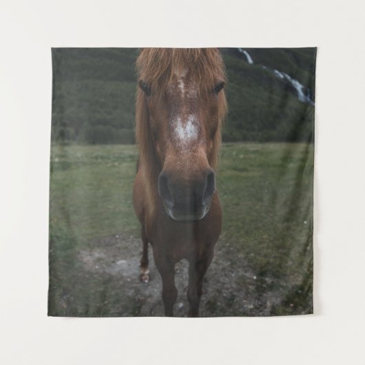 HELLO ICH BIN EIN HORSE WANDTEPPICH (Vorderseite)
