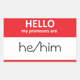 HELLO meine Pronomen sind er/er Sticker