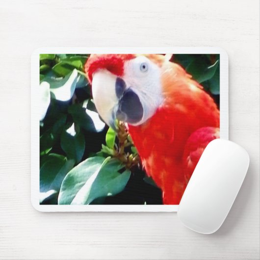 Hello_ Mousepad (Mit Mouse)