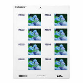 HELLO Name Tags Blue Hydrangea Blume (Vorne)