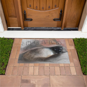 HELLO Niedlich Begrüßung Flüchtige Blick-A-Boo Blu Fußmatte