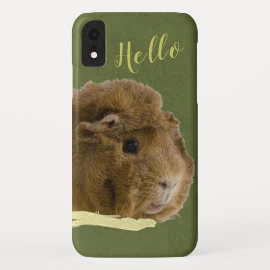 HELLO Niedliche Guinea Schweinchen mit Sellerfoto Case-Mate iPhone Hülle (Rückseite)