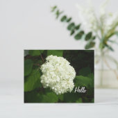 Hello One Big Snowball Hydrangeas Blume Postkarte (Stehend Vorderseite)
