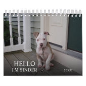 Hello Pet Puppy Custom 2021 Kalender (Titelbild)
