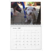 Hello Pet Puppy Custom 2021 Kalender (Jan 2027)