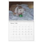 Hello Pet Puppy Custom 2021 Kalender (Feb 2026)