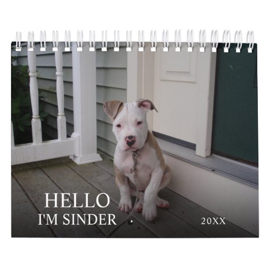 Hello Pet Puppy Custom 2021 Kalender (Titelbild)