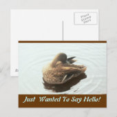 Hello Post Card Postkarte (Vorne/Hinten)