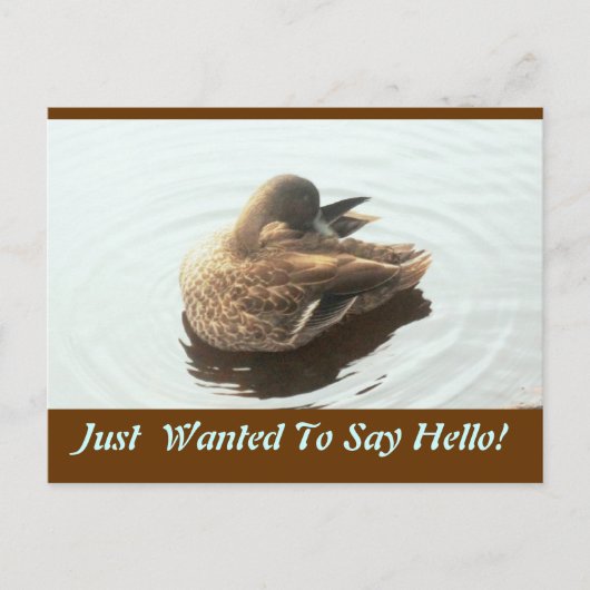 Hello Post Card Postkarte (Vorderseite)